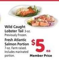 Wild Caught Lobster Tail / Fresh Atlantic Salmon Portion