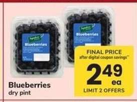 Blueberries