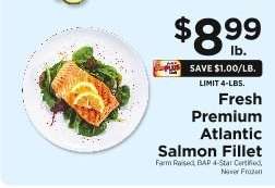 Fresh Premium Atlantic Salmon Fillet