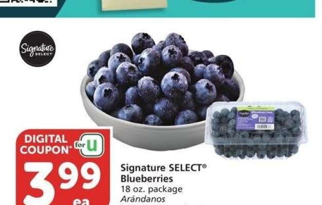Signature SELECT® Blueberries - 18 oz. package

Member Price: $5.99