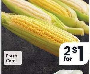 Fresh Corn