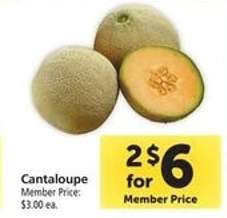 Cantaloupe