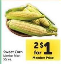 Sweet Corn