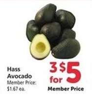 Hass Avocado