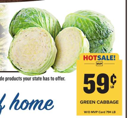 Green Cabbage