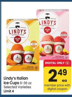 Lindy's Italian Ice Cups - 6-36 oz Selected Varieties