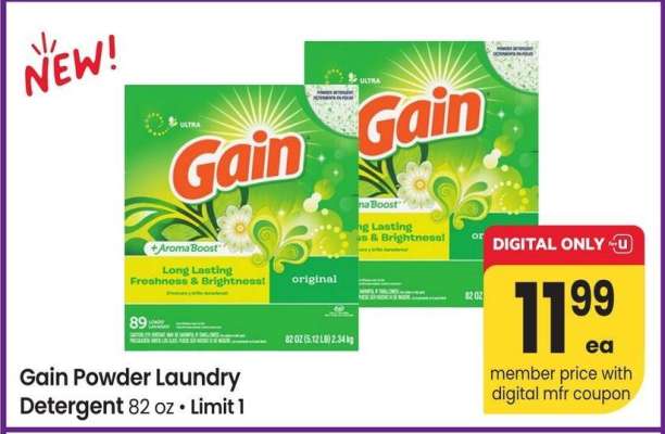 Gain Powder Laundry Detergent - 82 oz