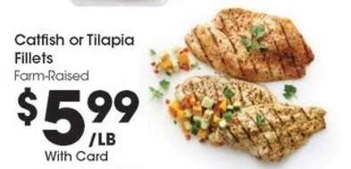 Catfish or Tilapia Fillets