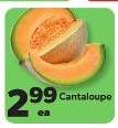 Cantaloupe