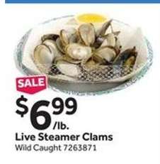Live Steamer Clams
