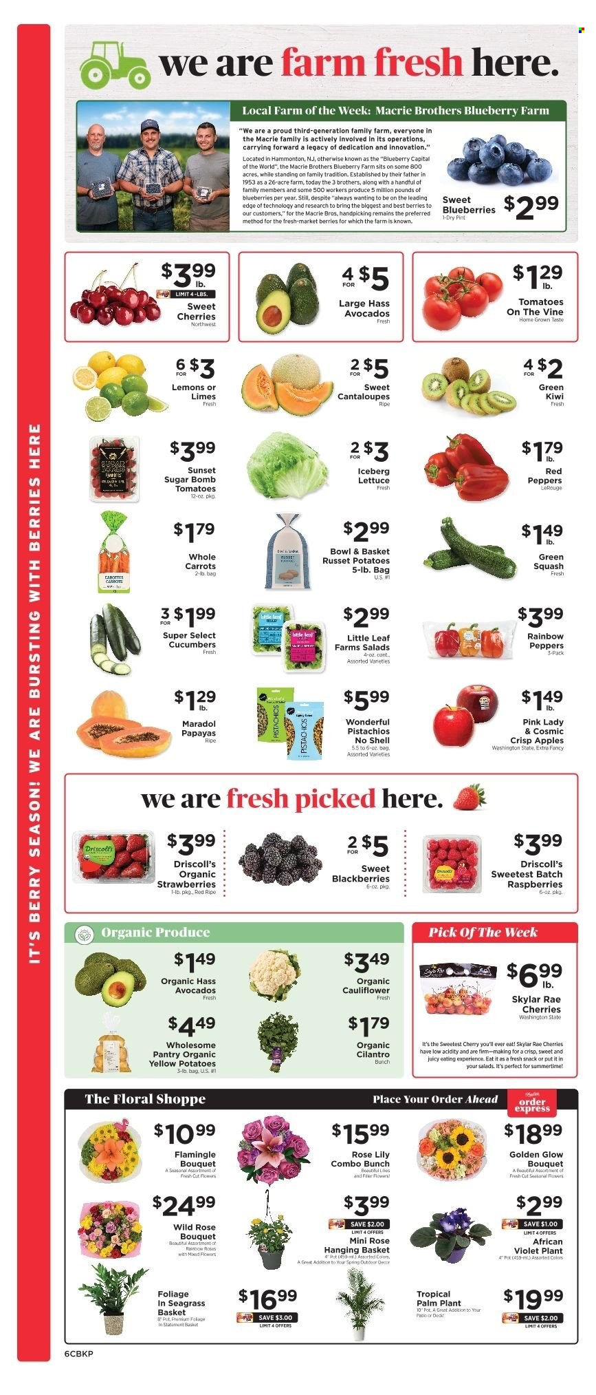 ShopRite ad - 06/22/2025 - 06/28/2025. Page 7