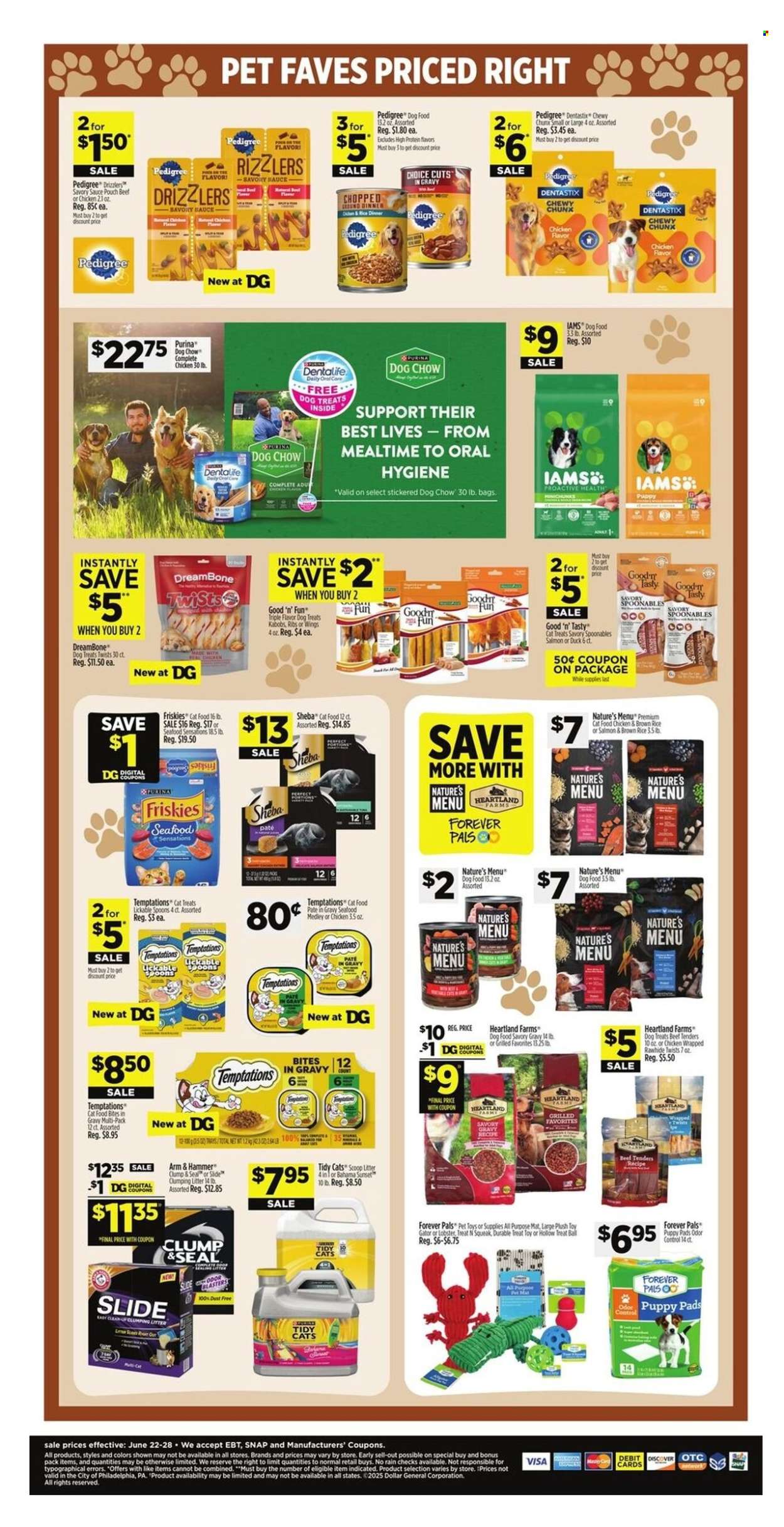 Dollar General ad - 06/22/2025 - 06/28/2025. Page 10