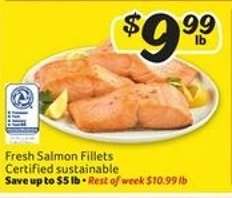 Fresh Salmon Fillets