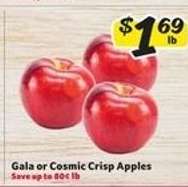 Gala or Cosmic Crisp Apples