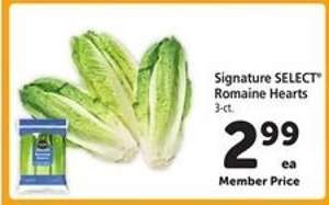 Signature Select Romaine Hearts