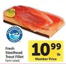 Fresh Steelhead Trout Fillet