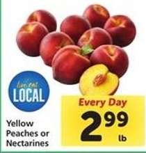 Yellow Peaches or Nectarines