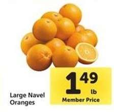 Large Navel Oranges