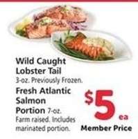 Fresh Atlantic Salmon Portion
