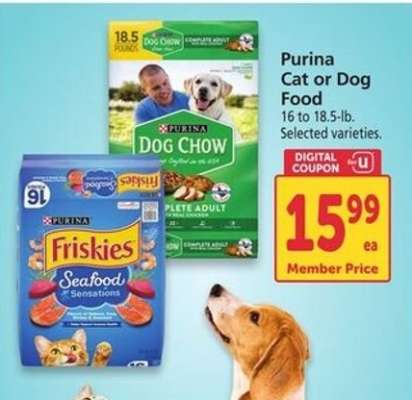 Purina Cat or Dog Food