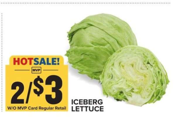 Iceberg Lettuce