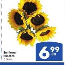 Sunflower Bunches - 5 Stem