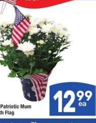 6" Patriotic Mum with Flag