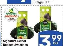 Signature Select Bagged Avocados - 7 ct.