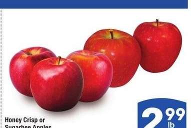 Honey Crisp or Sugarbee Apples - Large Size
