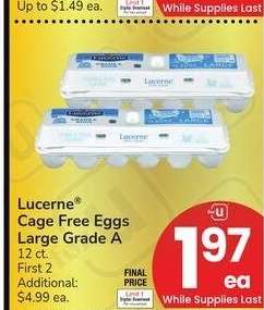 Lucerne® Cage Free Eggs Large Grade A - 12 ct.