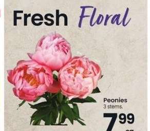 Peonies - 3 stems.