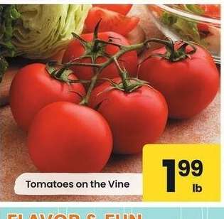 Tomatoes on the Vine