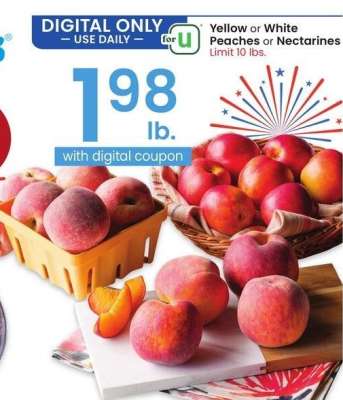 Yellow or White Peaches or Nectarines