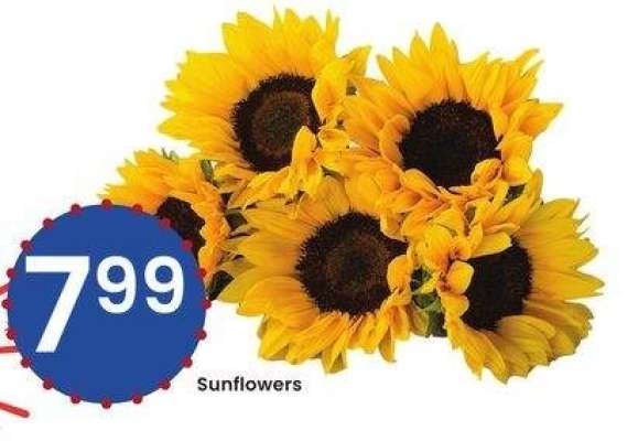 Sunflowers