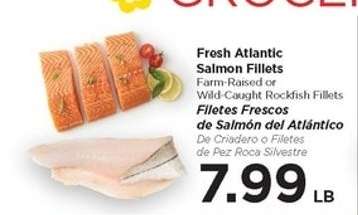 Fresh Atlantic Salmon Fillets