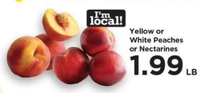 Yellow or White Peaches or Nectarines