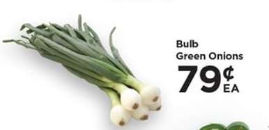 Bulb Green Onions