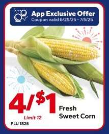 Fresh Sweet Corn
