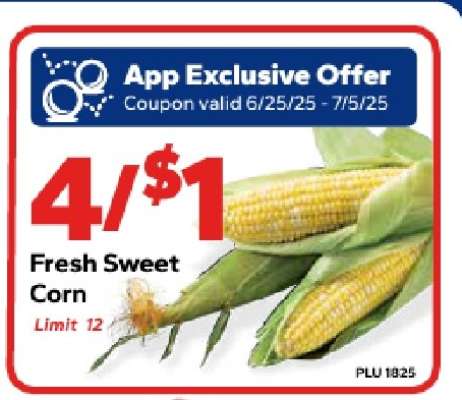 Fresh Sweet Corn
