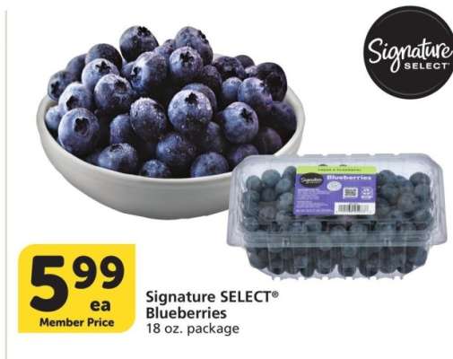 Signature SELECT® Blueberries - 18 oz. package