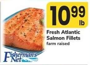 Fresh Atlantic Salmon Fillets