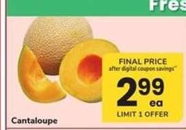 Cantaloupe