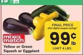 Yellow or Green Squash or Eggplant