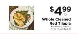 Whole Cleaned Red Tilapia