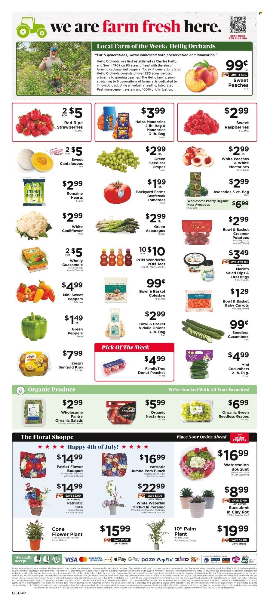ShopRite ad - 06/29/2025 - 07/05/2025. Page 13