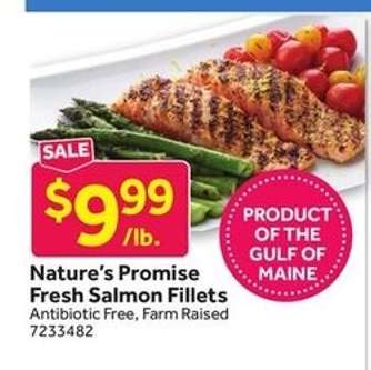 Nature's Promise Fresh Salmon Fillets