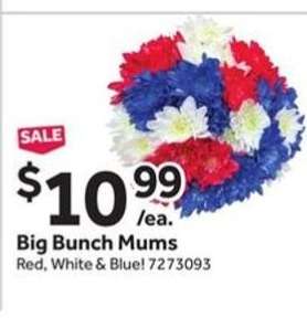 Big Bunch Mums