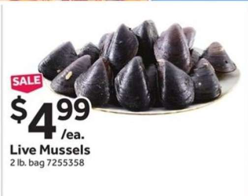 Live Mussels