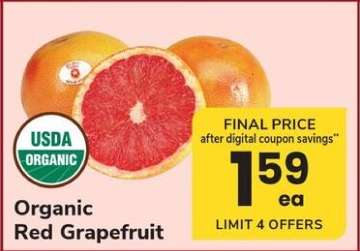 Organic Red Grapefruit