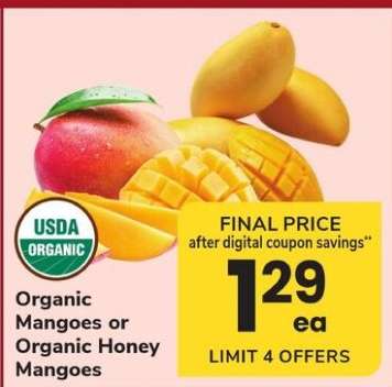 Organic Mangoes or Organic Honey Mangoes